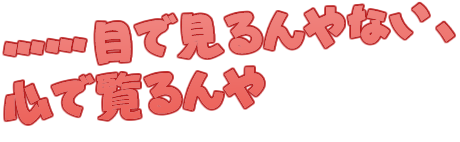 ……目で見るんやない、心で覧るんや
